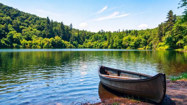 Découvrez pourquoi le camping les fontaines est un must en Vaucluse